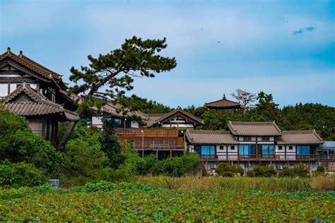 태안 태양의 마을! 빛나는 예술과 자연의 조화가 어우러진 매력적인 공간